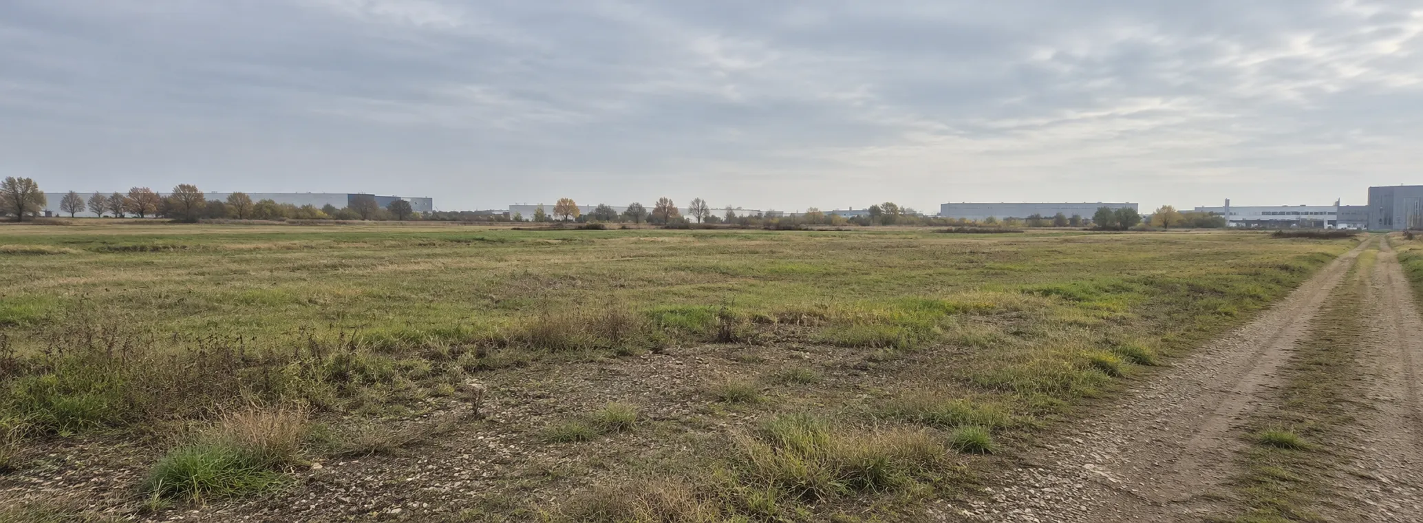 Undeveloped grassy plot with a farm track at the edge of an industrial estate